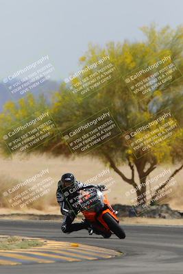 media/Apr-12-2025-Race Pace (Sat) [[9230add55f]]/Vested/6-Turn 4 Tree of Life (115pm)/